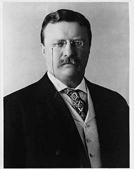 Official portrait of Theodore Roosevelt