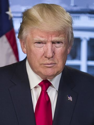 Official portrait of Donald Trump